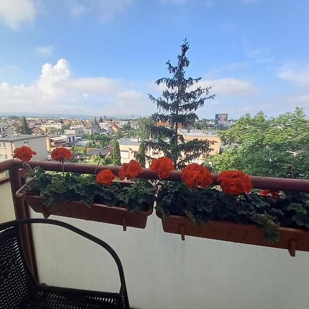 Apartman Lienka Free Parking City Centre Trenčín Exteriér fotografie